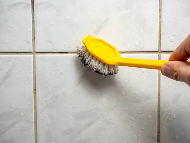 Best Mold Damage Repair  in Culver, OR