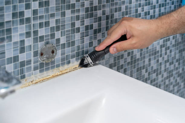 Best Attic Mold Removal  in Culver, OR