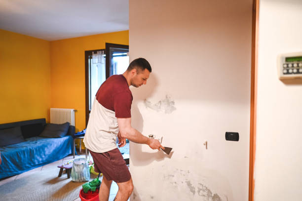 Best Professional Mold Removal  in Culver, OR